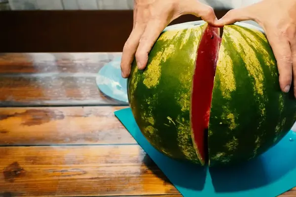 Featured image for The Watermelon and the Warning in a Baseball Hat